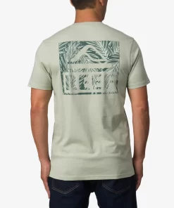 REEF T-Shirts>Palms Short Sleeve T-Shirt Desert Sage